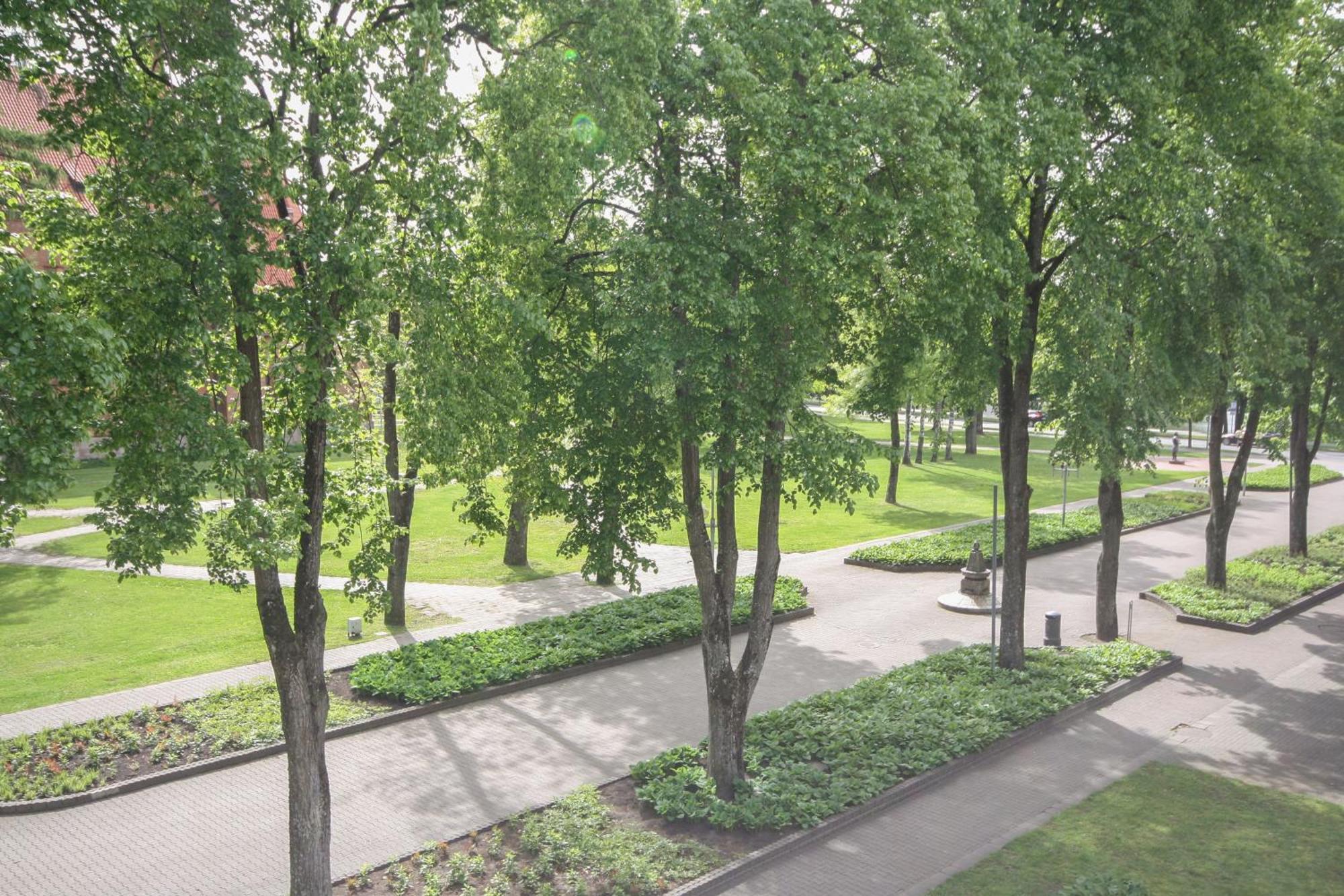 Apartamentai Vilniaus Alejoje 德拉肯恩凯 外观 照片